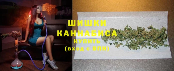 эйфоретик Покачи